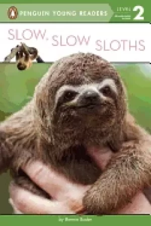 Image of slow slow sloths