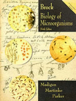 Image of Brock Biology of Microorganisms by Michael T Madigan and John M Martinko and Jack Parker and Thomas D Brock Paperback