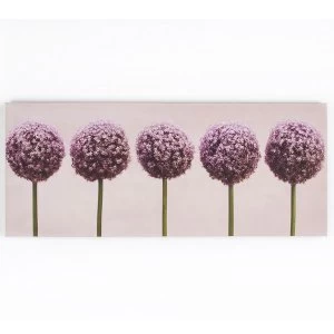 Image of Graham and Brown Row of Alliums
