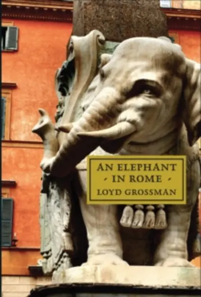 Image of elephant in rome bernini the pope and the making of the eternal city 9781843681939