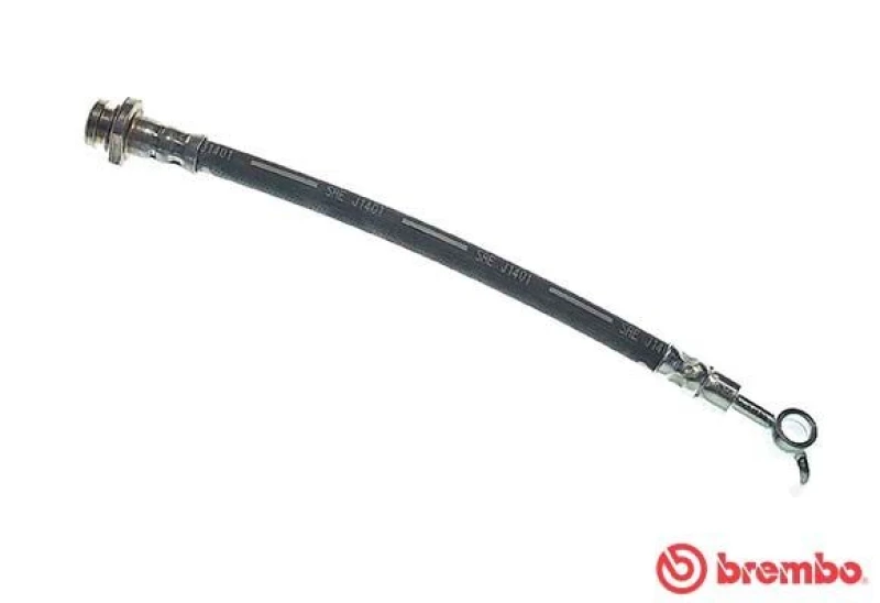 Image of BREMBO Brake hose BREMBO T 56 162