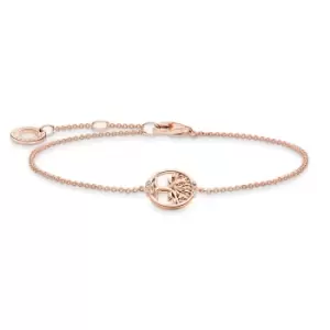 Image of THOMAS SABO Rose Gold Plated CZ Tree of Life Bracelet