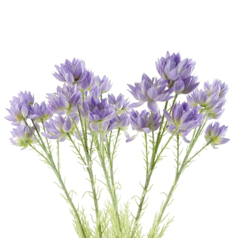 Image of Leaf Pack of 6 x 60cm Purple Starflower Stem - 5 Flowers Purple unisex