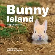Image of bunny island
