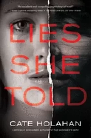 Image of lies she told a novel