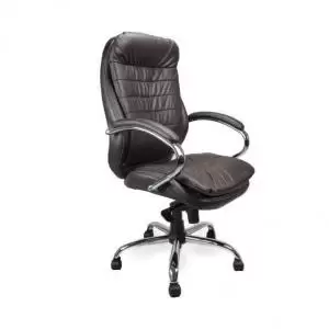 Image of Santiago C Chrome Cantilever Framed Leather Armchair BN 50023ET