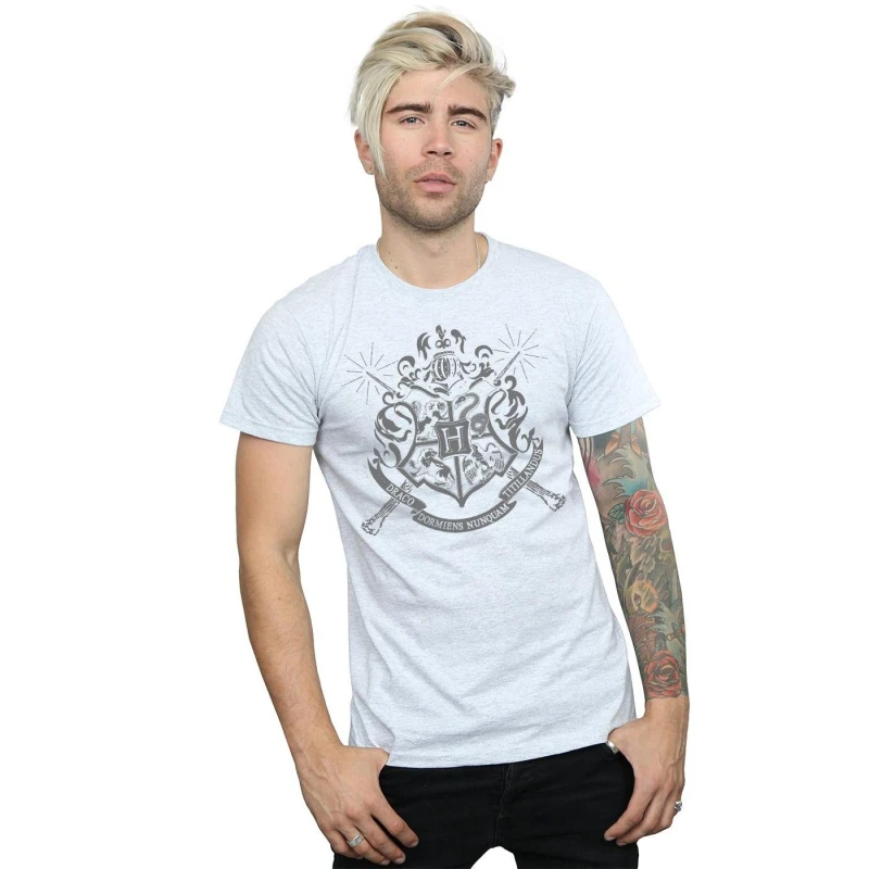 Image of Harry Potter Mens Hogwarts Houses Cotton T-Shirt in Grey Size: Small Grey Male S