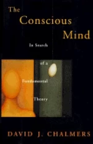Image of conscious mind in search of a fundamental theory