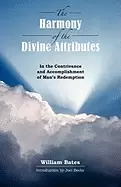 Image of harmony of divine attributes in the contrivance and accomplishment of mans