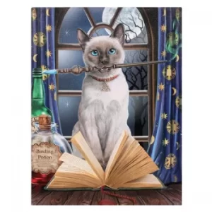Image of 19x25 Hocus Pocus Canvas by Lisa Parker