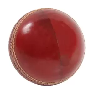 image of Aero Net Practice Cricket Ball - Red