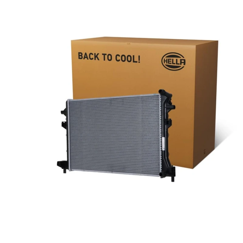 Image of HELLA Engine radiator HELLA 8MK 366 300-441