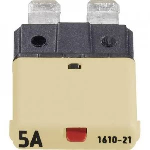 Image of Standard mini blade type fuse circuit breaker 5 A Beige 1610