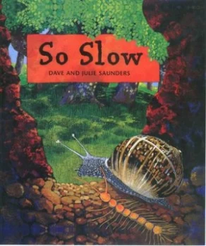 Image of So Slow by Julie Saunders Paperback