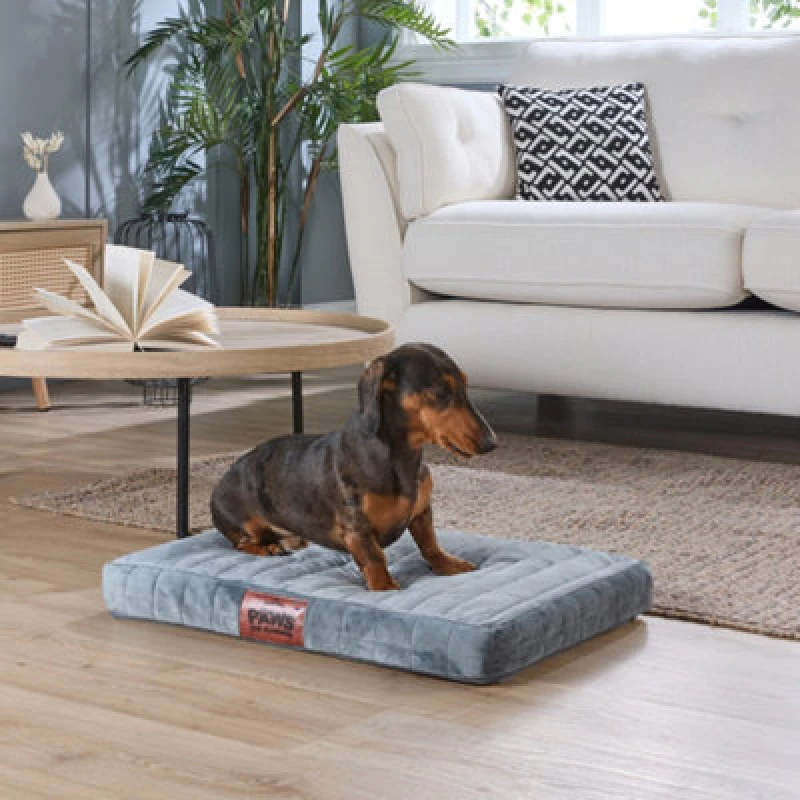 Image of Slumberdown Paws for Slumber Small Orthopedic Pet Bed Grey