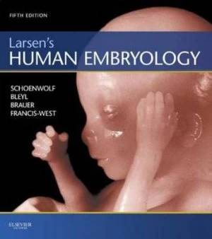 Image of Larsens Human Embryology by Gary C. Schoenwolf Book
