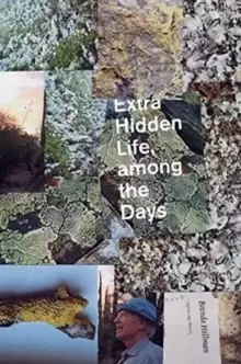Image of Extra Hidden Life, among the Days