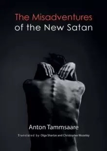Image of The Misadventures of the New Satan
