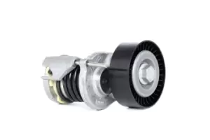 Image of INA Tensioner Lever, v-ribbed belt VW,AUDI,SKODA 534 0164 10 038903315AD,038903315AG,038903315AH 038903315AJ,038903315AM,038903315AN,038903315T