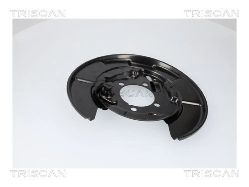 Image of TRISCAN Brake disc backing plate TRISCAN 8125 13228