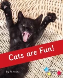 Image of Cats are Fun! : Phonics Phase 4