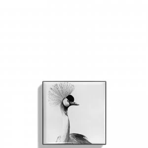 Image of Chantecaille Luminescent Eyeshadow 2.5ml (Various Shades) - Crane