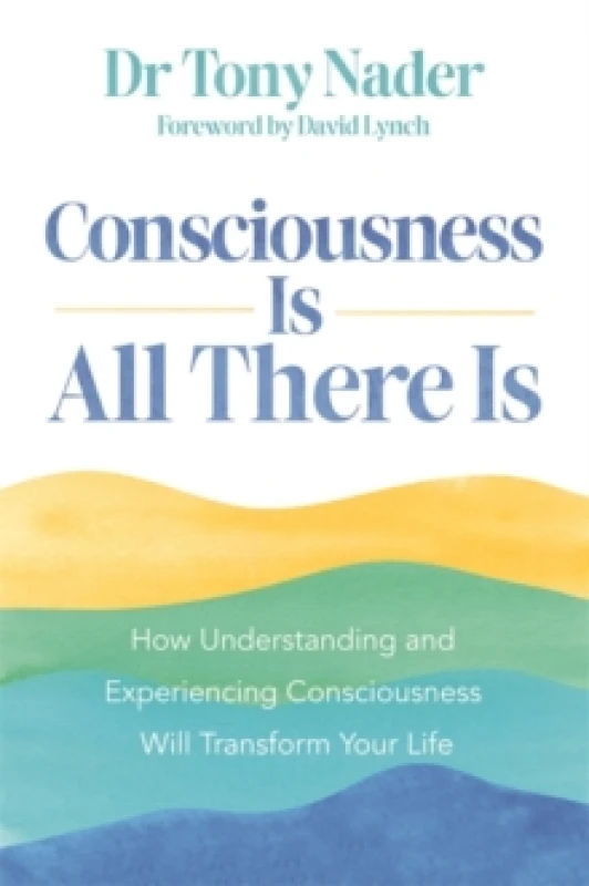 Image of Consciousness Is All There Is : How Understanding and Experiencing Consciousness Will Transform Your Life Paperback / softback