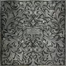 Image of The Turnpike Troubadours