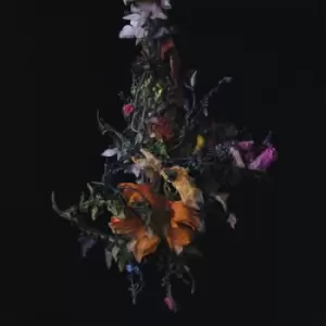 Image of Nature Morte by Big|Brave Vinyl Album
