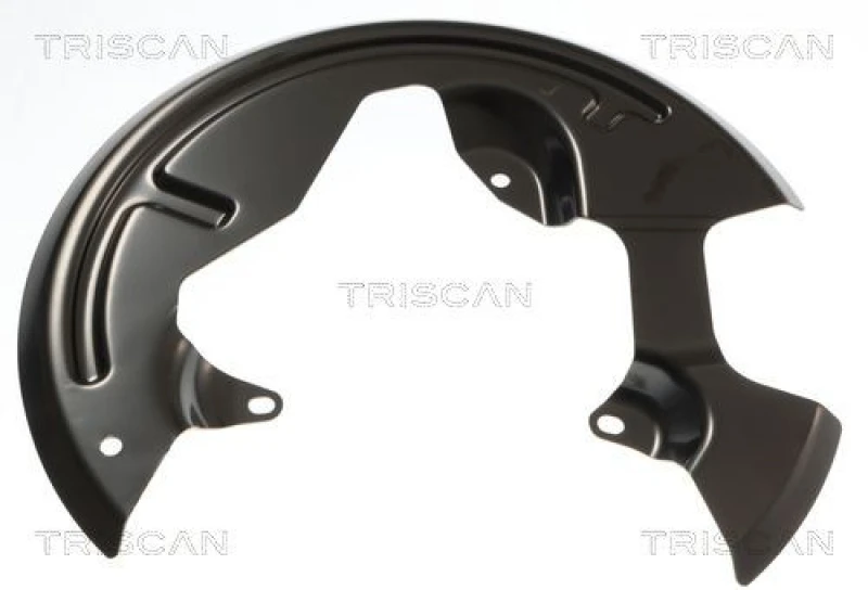 Image of TRISCAN Brake disc backing plate TRISCAN 8125 25106