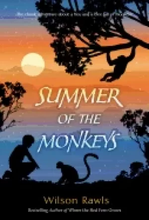 Image of summer of the monkeys