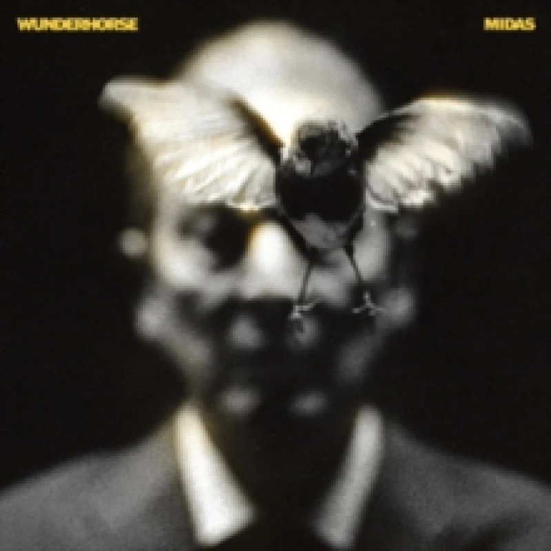Image of Midas Vinyl