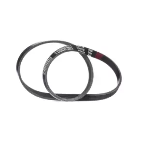 Image of RIDEX V-ribbed belt BMW,FIAT 305P0305 11286550645,11287795144,64557795144 6550645,7795144,46811241,71719034