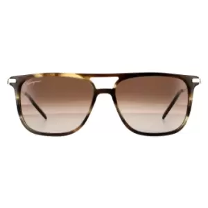 Square Striped Khaki Brown Gradient Sunglasses