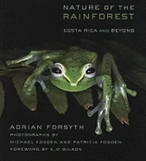 Image of nature of the rainforest costa rica and beyond