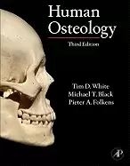 Image of human osteology
