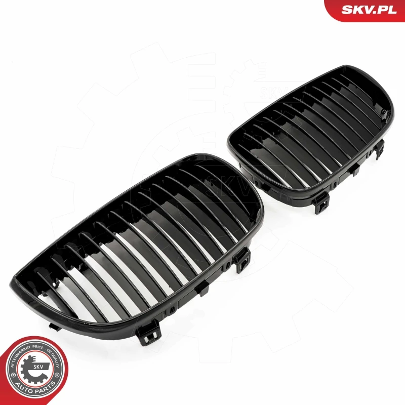 Image of ESEN SKV Radiator Grille ESEN SKV 66SKV001
