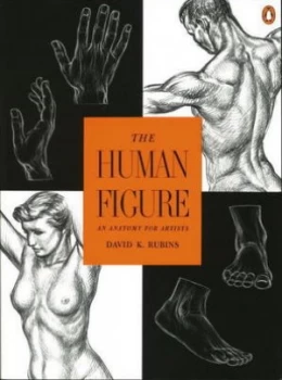 Image of The Human Figure by David K. Rubins Book