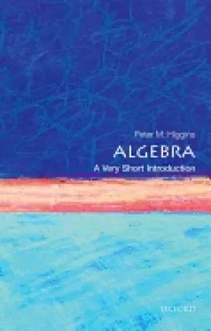 Image of algebra a very short introduction