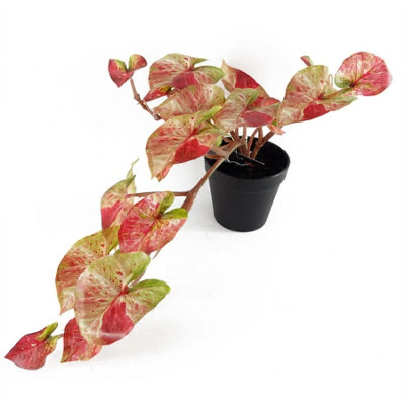 Image of Leaf 35cm Artificial Hanging Trailing Plant Pink Splash Caladium Pink