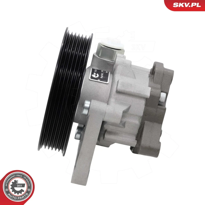 Image of ESEN SKV Power steering pump ESEN SKV 10SKV335