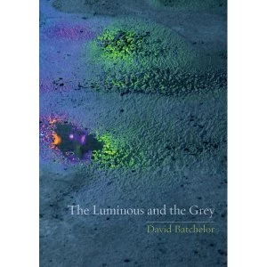 Image of The Luminous and the Grey by David Batchelor (Paperback, 2014)