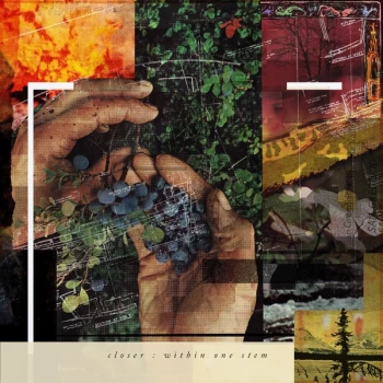 Image of Closer - Within One Stem Vinyl
