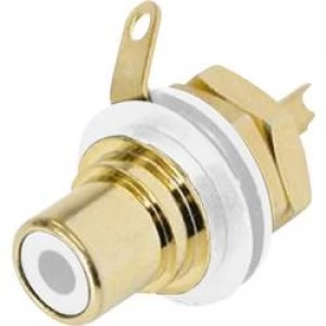 Image of RCA connector Sleeve socket straight pins Number of pins 2 White Rean AV NYS367 9