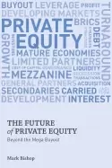 Image of future of private equity beyond the mega buyout