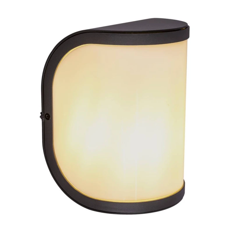 Image of Netlighting Segga Outdoor Flush Wall Lamp Anthracite IP44 1x E27 in Grey Grey Unisex