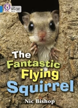 Image of The Fantastic Flying Squirrel by Nic Bishop Book