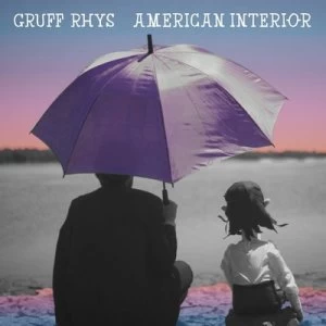 image of American Interior by Gruff Rhys CD Album