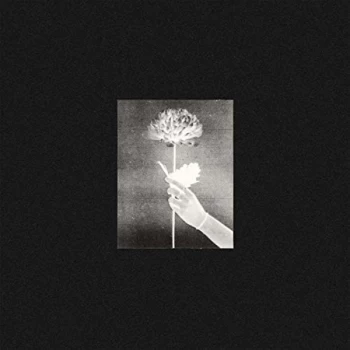 Image of White Flowers - Day By Day CD