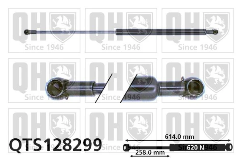 Image of QUINTON HAZELL Tailgate strut QUINTON HAZELL QTS128299